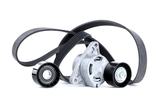 Multirem 542R0289 RIDEX MZ690266 VOLVO