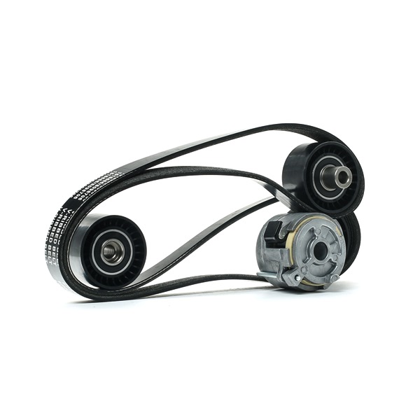 RIDEX 542R0297 Poly v riem set Citroen Jumpy Van 1.6 HDi 16V 90 Pk Diesel prijs