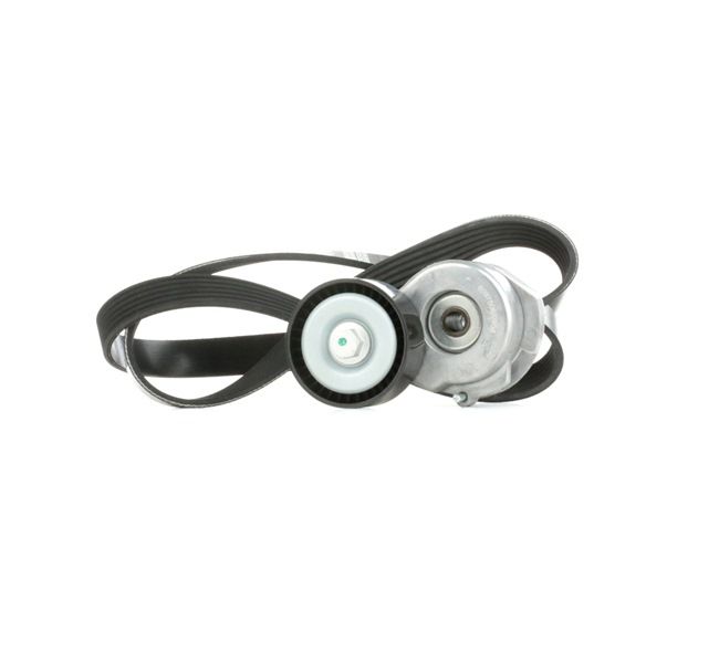 RIDEX 542R0299 Poly v riemen kit Opel Corsa C 1.3 CDTI (F08, F68) 70 Pk Diesel prijs