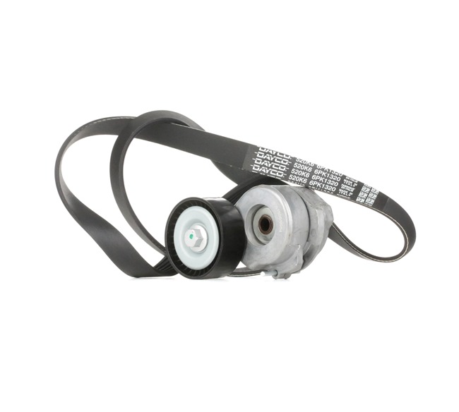 RIDEX 542R0301 Poly v riem set Opel Corsa C 1.3 CDTI (F08, F68) 70 Pk Diesel prijs