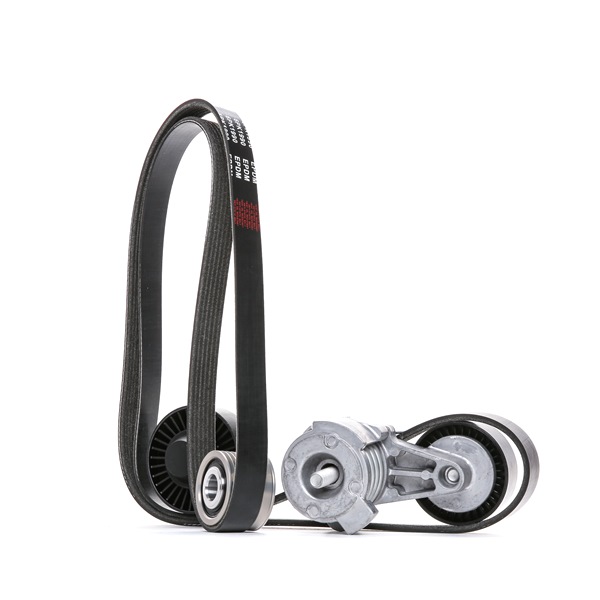 RIDEX 542R0309 Keilrippenriemensatz BMW E65 730i, Li 258 PS Benzin Kosten