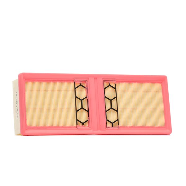 RIDEX 8A0905 Filtro aria