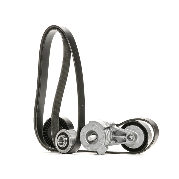 RIDEX 542R0320 Keilrippenriemensatz BMW E65 730i, Li 258 PS Benzin Kosten