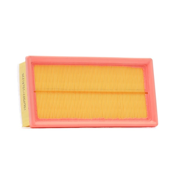 RIDEX 8A0915 Filtro aria