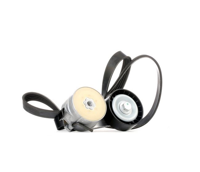 RIDEX Poly V-riem set 542R0343 542R0343 RIDEX Poly-V-riem Abarth goedkoop