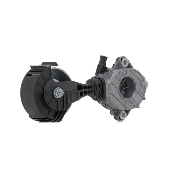 Galet tendeur de courroie d'accessoire 541V0049 RIDEX 1204 56 Pompe à eau 541V0049 RIDEX 120456 BMW