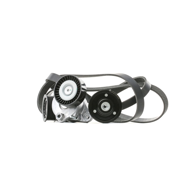 RIDEX 542R0364 Keilrippenriemensatz Mercedes S204 C 250 (204.252) 204 PS Benzin Kosten