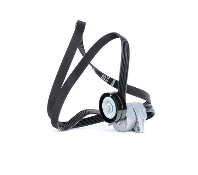 RIDEX 542R0376 Jeu de courroies trapézoïdales à nervures Astra F T92 1.8 i 90 CV Essence 1997
