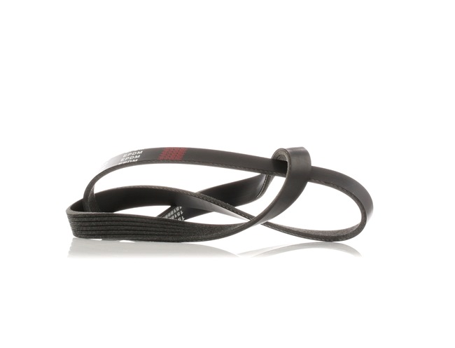 RIDEX 305P0428 Courroie Poly-V