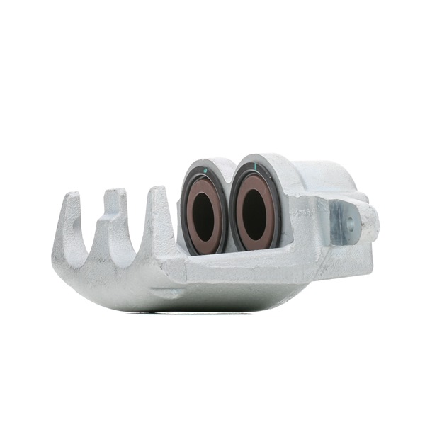 RIDEX 78B0922 Jarrusatula
