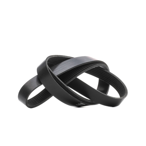 RIDEX 305P0431 Multi-V-riem DACIA Logan II Sedan (L8) TCe 90 90 Pk Benzine prijs