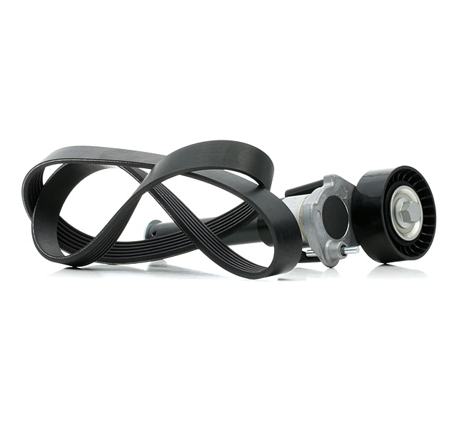 RIDEX 542R0390 Keilrippenriemensatz VW Passat B7 Kasten / Kombi (365) 2.0 TSI 211 PS Benzin Kosten
