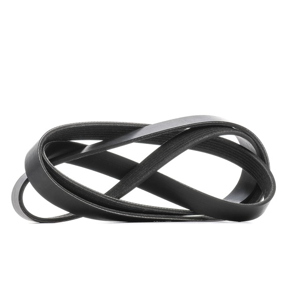 RIDEX 305P0436 Courroie Poly-V