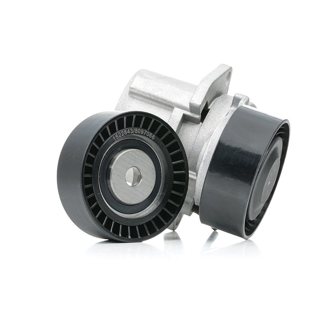 RIDEX 542R0415 Keilrippenriemensatz BMW E36 Compact 316i 102 PS Benzin Kosten