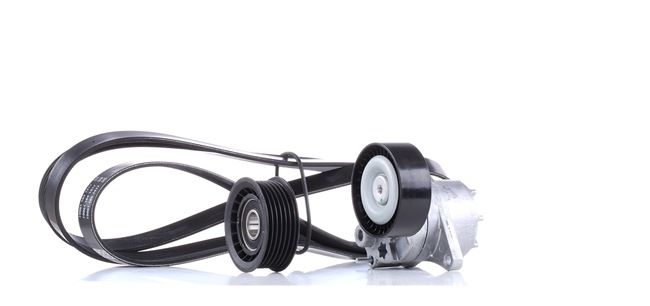 RIDEX 542R0416 Keilrippenriemensatz Mercedes Vito W639 109 CDI (639.701) 88 PS Diesel Kosten