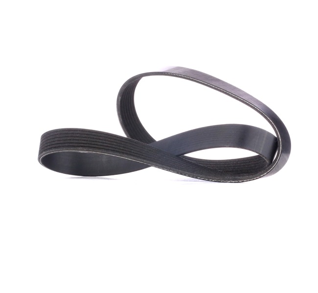 RIDEX 305P0439 Keilrippenriemen Renault Clio 3 2.0 16V Sport (CR0N, CR1P) 197 PS Benzin Kosten