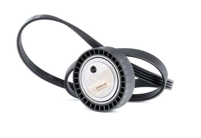 RIDEX 542R0427 Keilrippenriemensatz BMW E36 Compact 316i 102 PS Benzin Kosten