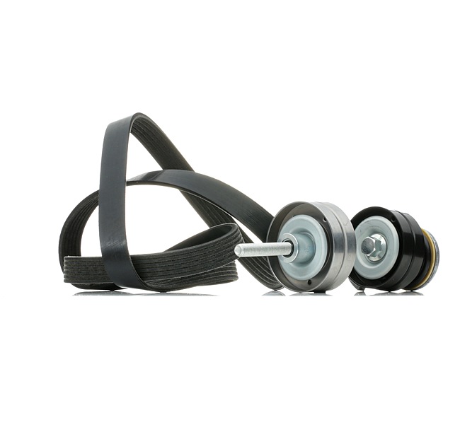 Keilrippenriemen 542R0449 RIDEX 03C260849A BMW