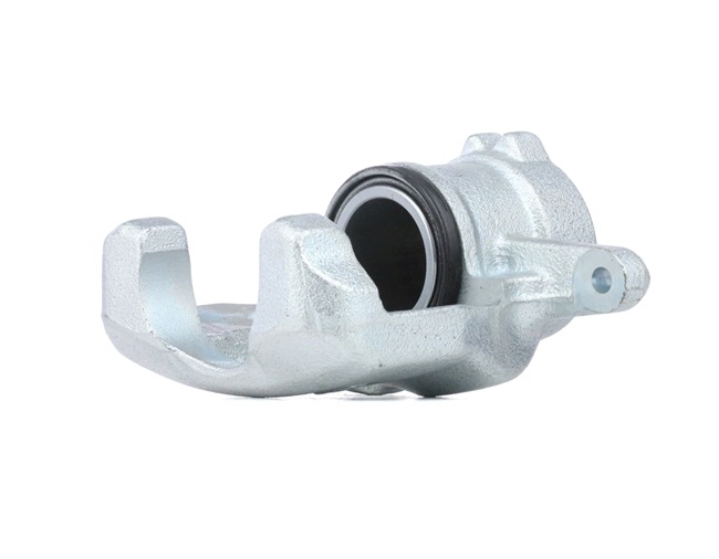 RIDEX 78B1070 Jarrusatula