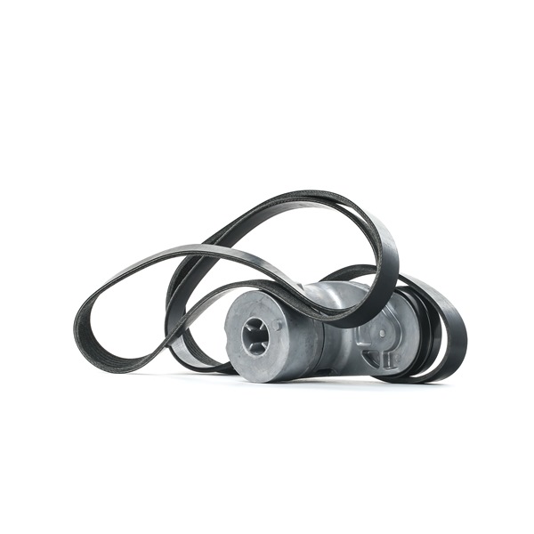 RIDEX 542R0485 Moniurahihnasarja