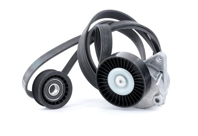 STARK Pasek klinowy wielorowkowy LEXUS SKRBS-1200497