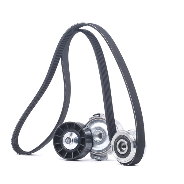 RIDEX 542R0500 Σετ ιμάντων poly-v CITROËN Jumpy II MPV (VF7) 2.0 HDi 136 PS Πετρέλαιο τιμες