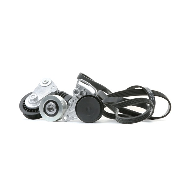 RIDEX 542R0505 Drivremsett Audi A4 b6 1.9 TDI 130 hk Diesel pris