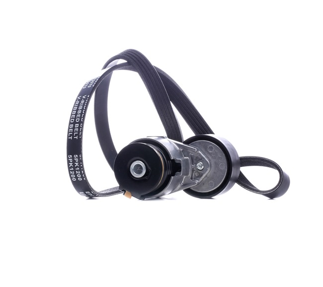 STARK SKRBS-1200508 Poly v riem set Renault Clio 2 1.4 16V 95 Pk Benzine prijs