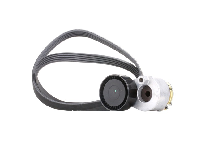 RIDEX 542R0509 Σετ ιμάντων poly-v Renault Clio 2 Hatchback 1.5 dCi 65 PS Πετρέλαιο τιμες