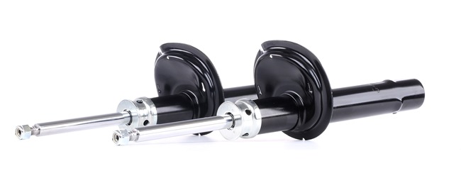 RIDEX 854S2366 Dämpfer Peugeot 205 2 1.9 Diesel 64 PS Diesel Kosten