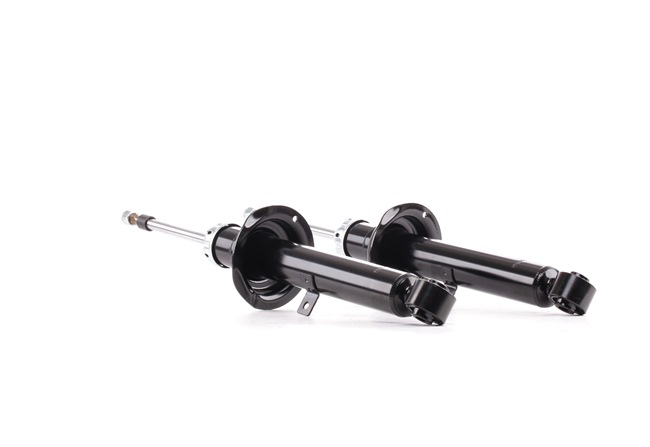 854S2376 Ammortizzatori LEXUS IS RIDEX costo