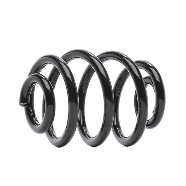 RIDEX 188C0681 Chassisveer