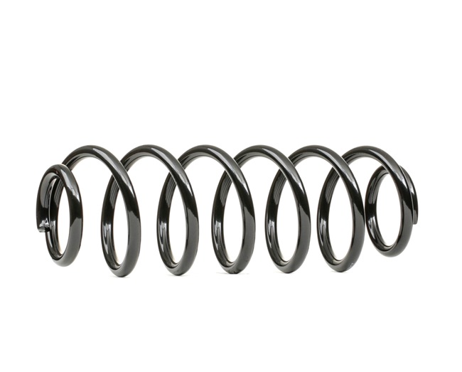 RIDEX 188C0766 Chassisveer