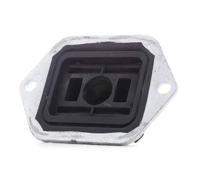 RIDEX 1080M0054 Έδραση, σώμα άξονα
