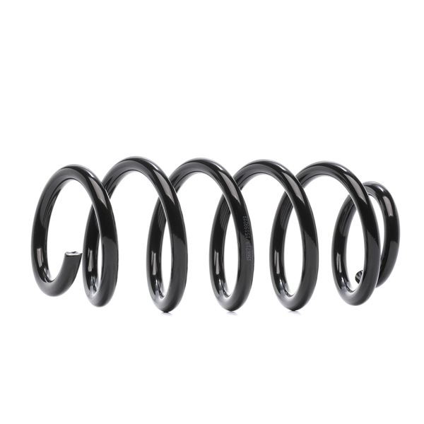 RIDEX 188C0921 Chassisveer