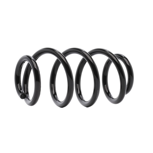 RIDEX 188C1289 Feder Audi A4 B8 Avant 2.7 TDI 163 PS Diesel Kosten