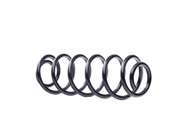 RIDEX 188C1354 Jousi Ford Fusion ju2 1.4 TDCi 68 hv Diesel hinta