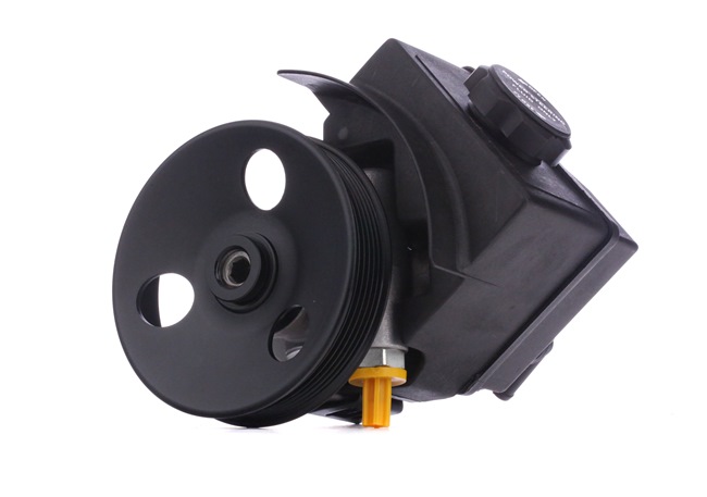 Pompe de direction assistée 12H0187 RIDEX 9140195 Volkswagen