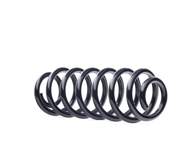 RIDEX 188C1418 Molas de suspensão Passat 365 1.4 TSI EcoFuel 150 cv Gasolina/gas natural (CNG) preço
