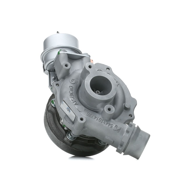 RIDEX REMAN 2234C0113R Turbo Renault Scenic 3 1.5 dCi (JZ02, JZ0R) 95 cv Diesel preço