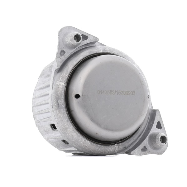 STARK SKEM-0660397 Felfüggesztés, motor