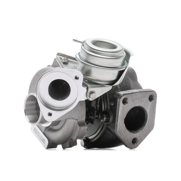 Montagesatz, Lader 2234C0195 RIDEX 11657794144SD OPEL