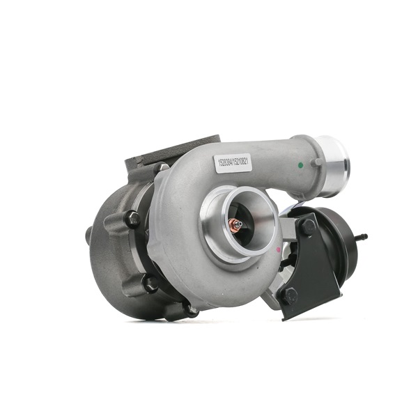 Turbolader 2234C0252 RIDEX 49135-07310 KIA