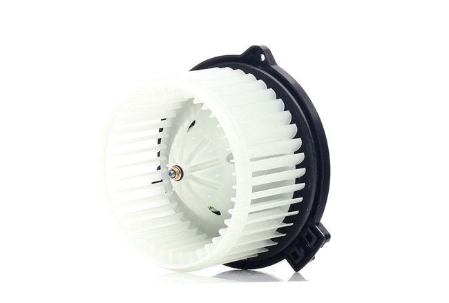 RIDEX 2669I0166 Sisätilapuhallin