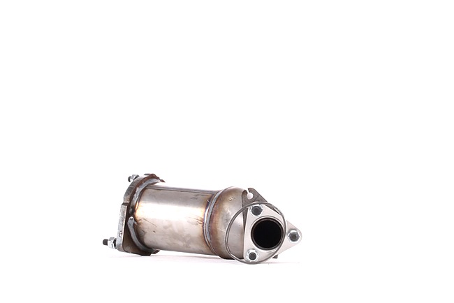 RIDEX 429C0105 Catalyseur