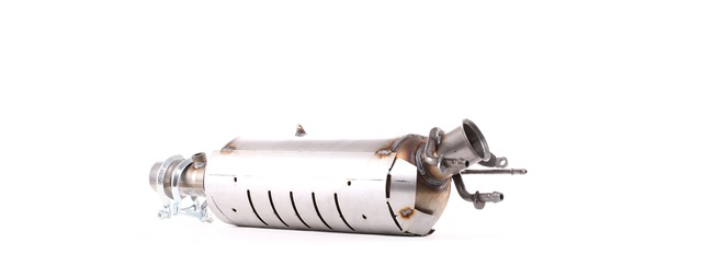 Filtro de partículas 1256S0027 RIDEX 1731 Z5 PEUGEOT