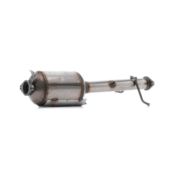 Roetfilter (DPF) 1256S0113 RIDEX RM9T165H250AB FORD
