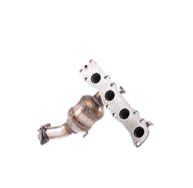 RIDEX 429C0219 Catalyseur