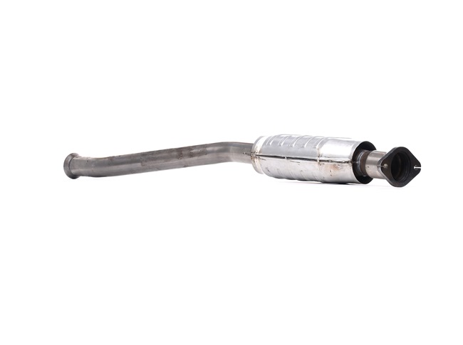 RIDEX 429C0384 Catalisador