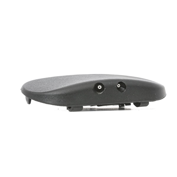 RIDEX 303W0010 Spolarmunstycke